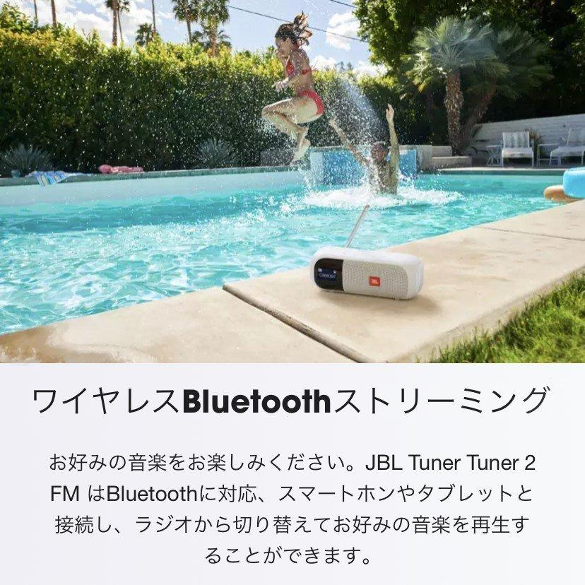 JBL TUNER2FM 使用感あり