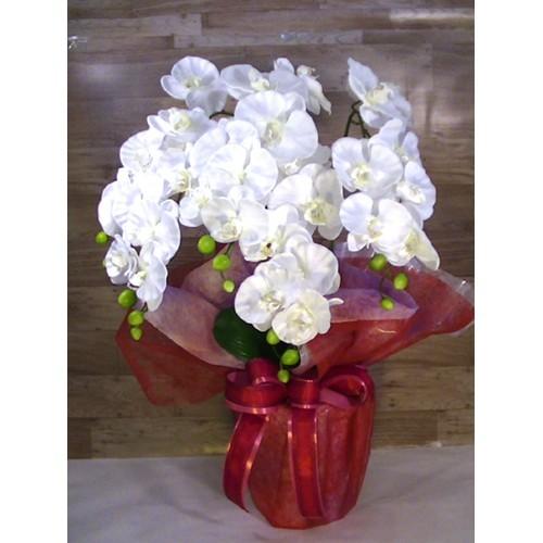 豪華 空気をきれいにする造花 光触媒加工を施した 胡蝶蘭 0919 21 お気にいる Zoetalentsolutions Com