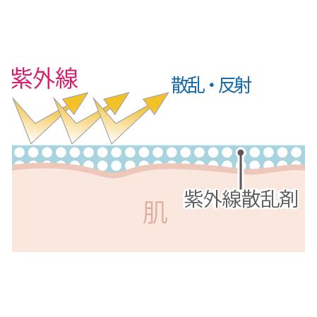 LNC UVプロテクター SPF50+ PA++++ 耐水性★★ 40mL 化粧品 医療機関流通品 日焼け止め 日本生物製剤  紫外線吸収剤不使用 国産 爆買 | LNC | 06