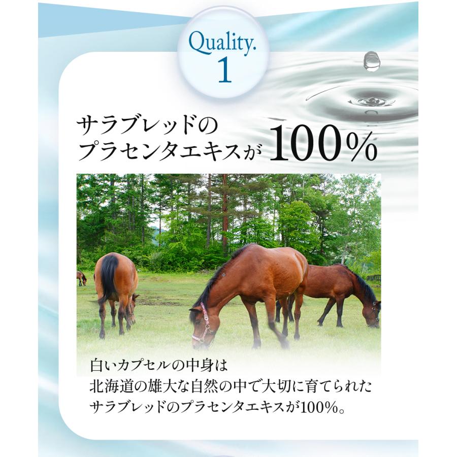 JBP プラセンタ EQ カプセル 20粒入 在庫限り 日本生物製剤 JBP