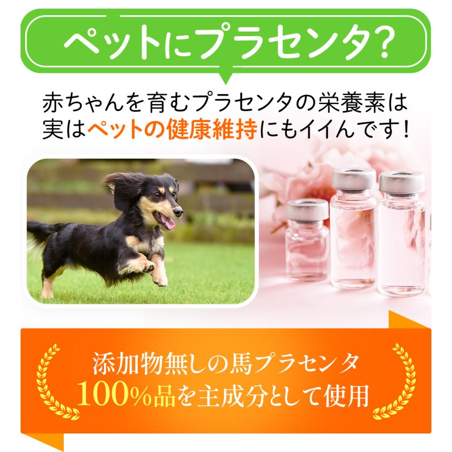 JBP JBPET プラセンタサプリ リキッド EQリキッド 15包×2箱 犬 猫