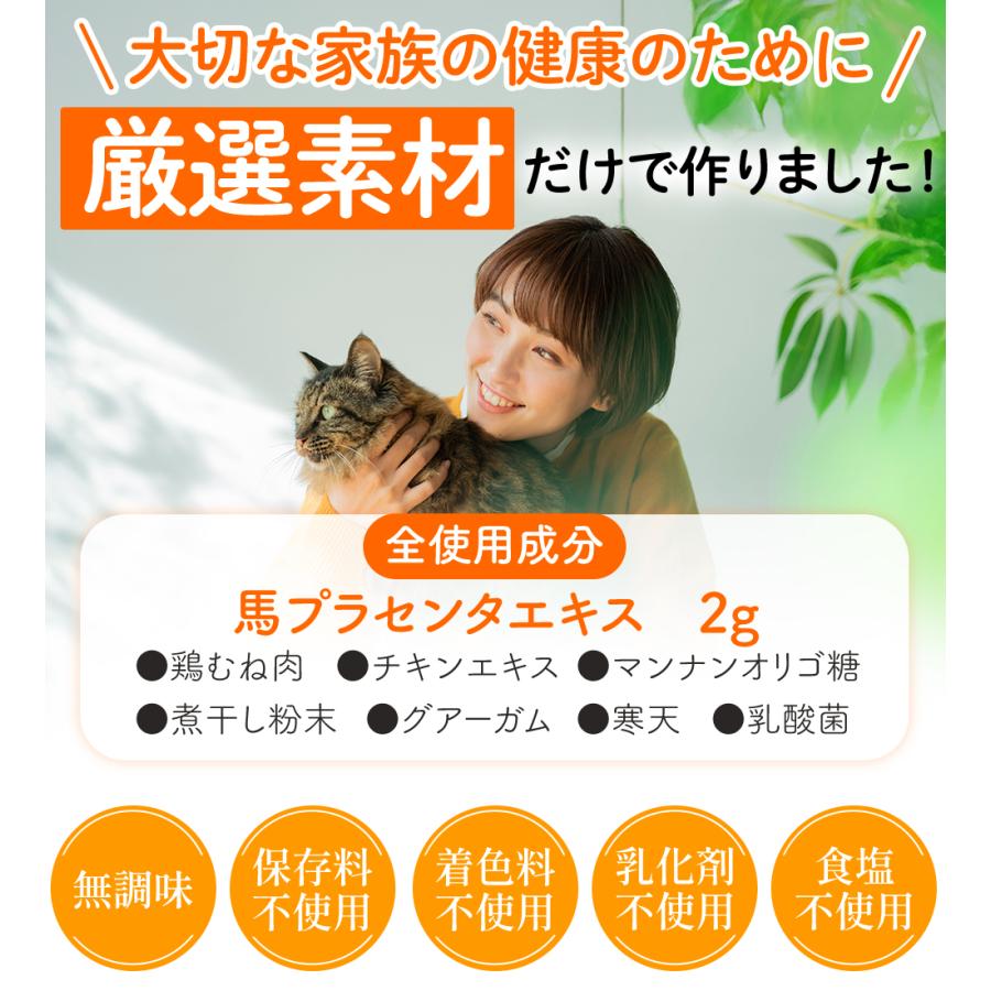 JBPET プラセンタサプリ ペースト  for cat 猫 サプリ ペット サプリメント 猫用品 ドクターズケア 毛並 毛艶 爆買 |  | 04