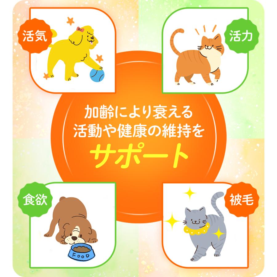 JBPET プラセンタサプリ ペースト  for cat 猫 サプリ ペット サプリメント 猫用品 ドクターズケア 毛並 毛艶 爆買 |  | 08