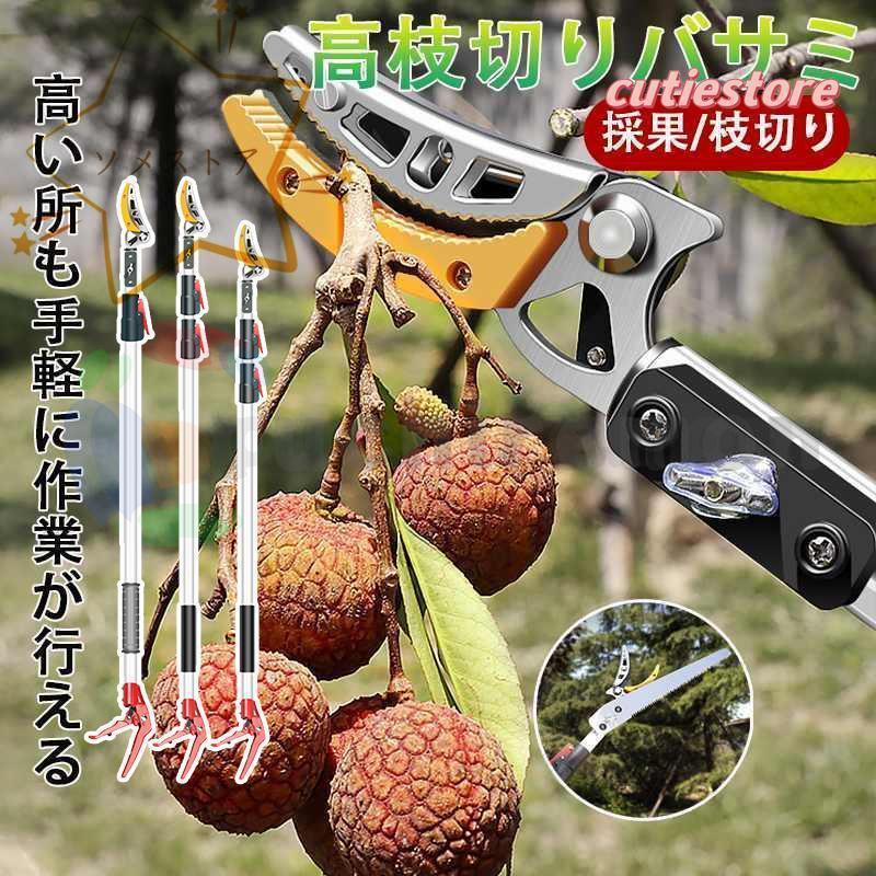 高枝切りバサミ 3m 5m伸縮式高枝切鋏 乾き 鋸付き 伸縮式 高枝