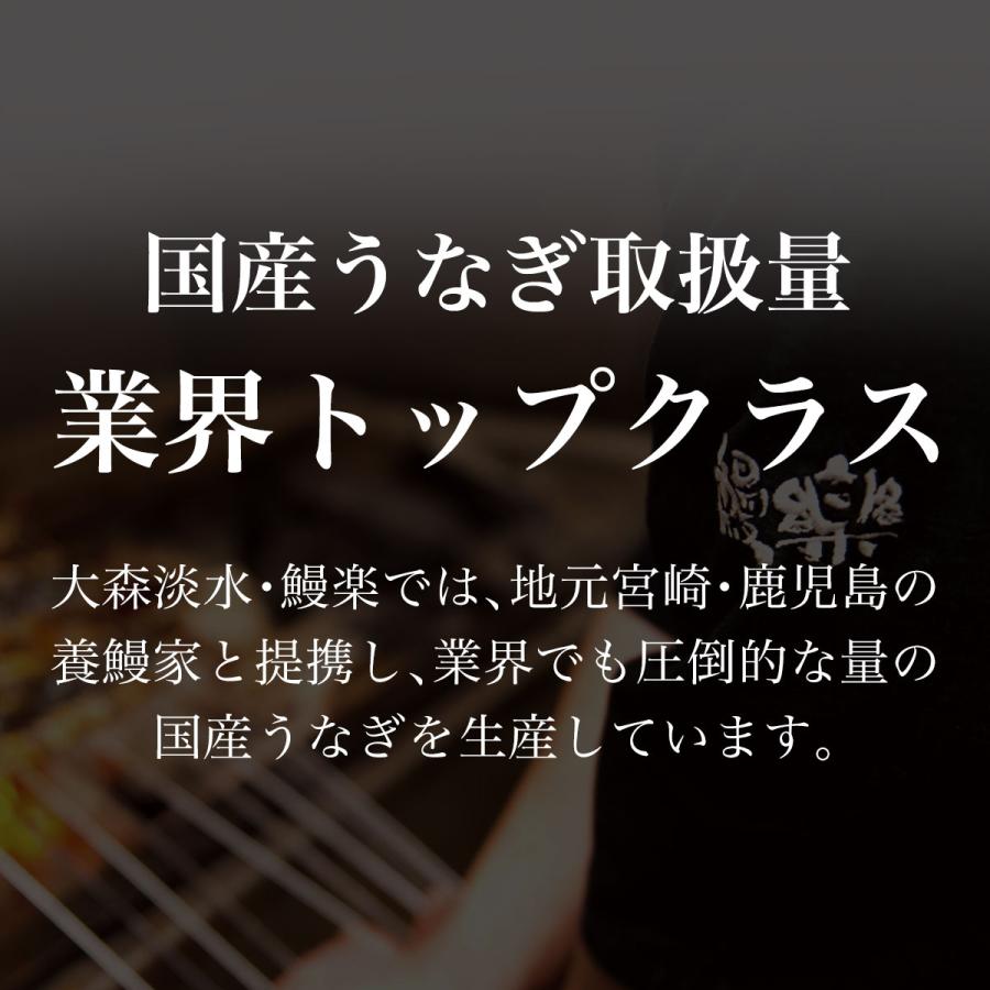 うなぎ 父の日 鰻楽 国産 蒲焼 長焼2尾 セット 鰻 ウナギ 蒲焼き 冷凍 真空パック 宮崎 鹿児島 食品 プレゼント ギフト 2024 60代 70代 80代｜jcaviar｜04