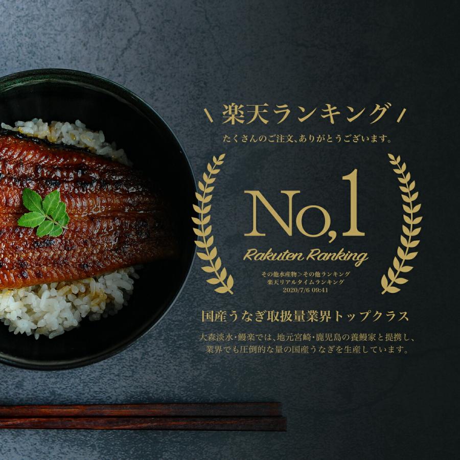 うなぎ ギフト 鰻楽 国産 蒲焼 長焼2尾 セット 鰻 ウナギ 蒲焼き