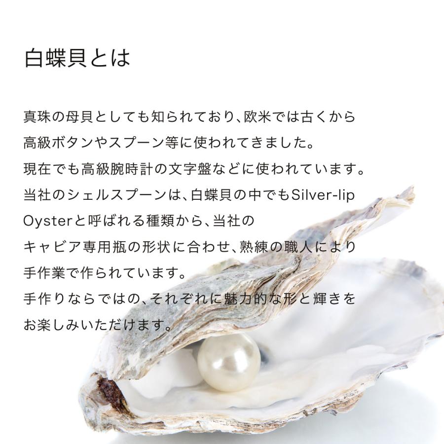 スプーン キャビア専用シェルスプーン 白蝶貝スプーン キャビア