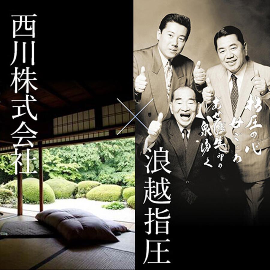 西川（nishikawa） 頚椎・首・頭・肩口をやさしく支えるの浪越枕 お得