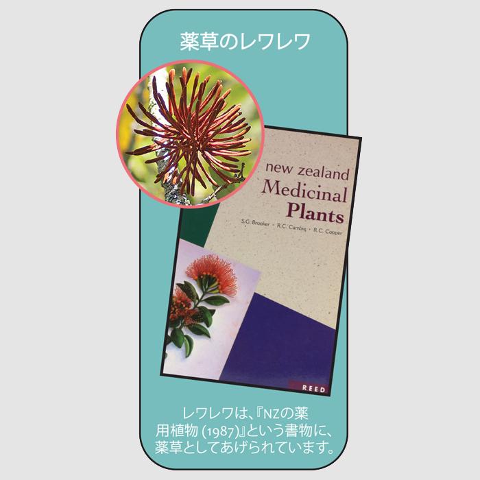 蜂蜜250g✖️2本（native&レワレワ）