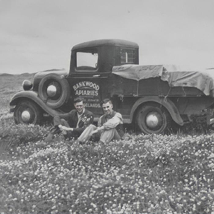 タヒ マヌカハニー MGO83+ ( UMF5+) 400g 低温濾過 全バッチ128種の