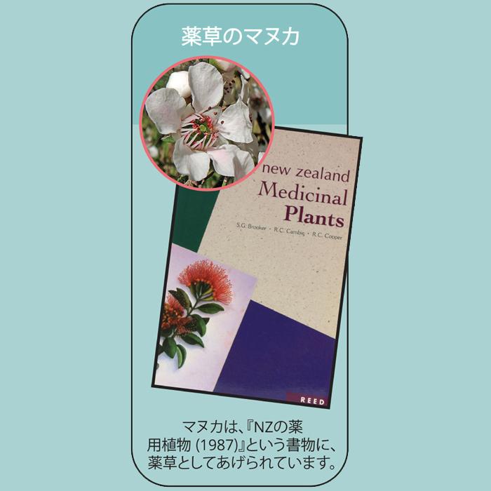 タヒ マヌカハニー MGO263+（UMF10+） 400g 【2個】低温濾過 全バッチ128種の化学物質不検出　17時までのご注文で当日発送・年中無休　送料無料 タヒ マヌカハニー MGO263+ (UMF10+) 400g 低温濾過 全バッチ128種の