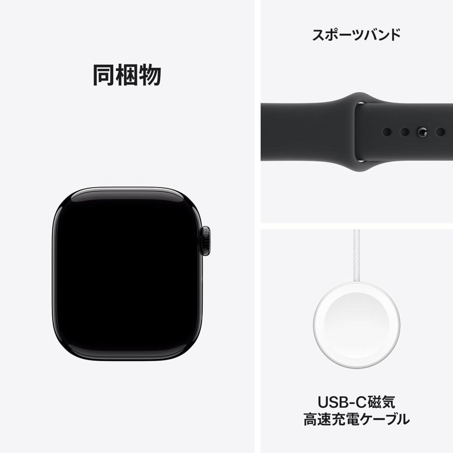 Apple Watch ☆新品未開封 Series 11 GPSモデル 42mm MEQT4J/A 