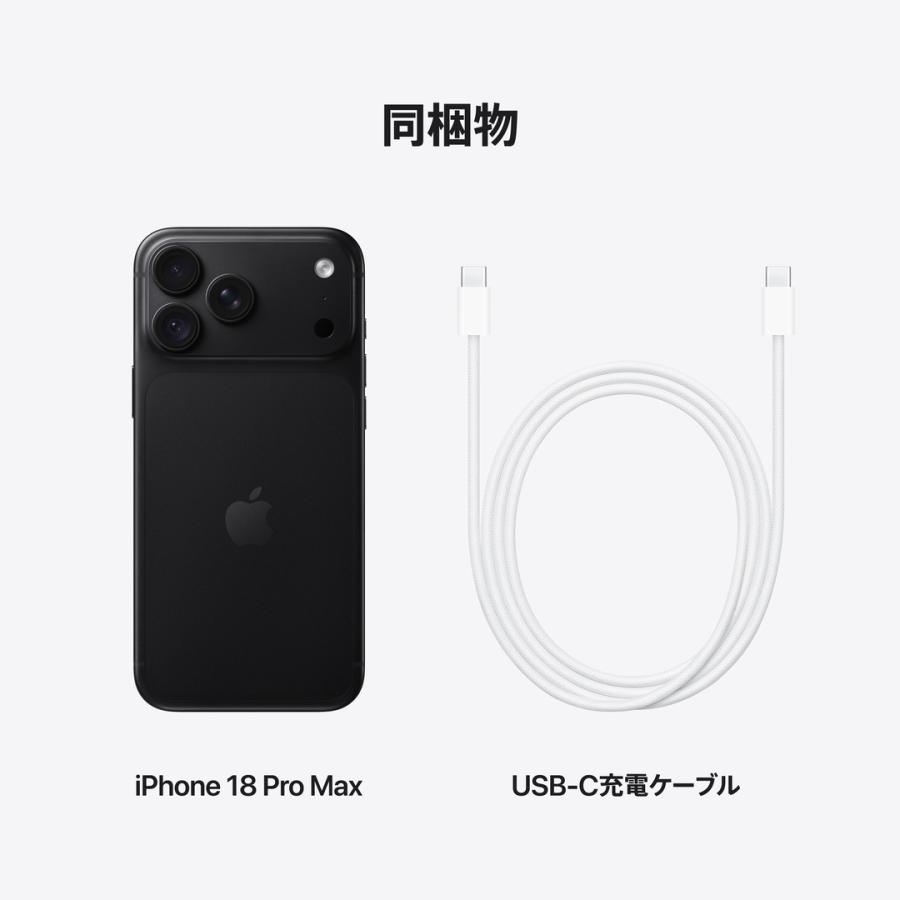 iPhone ☆Apple国内版SIMフリー iPhone18Pro Max 256GB ブラック