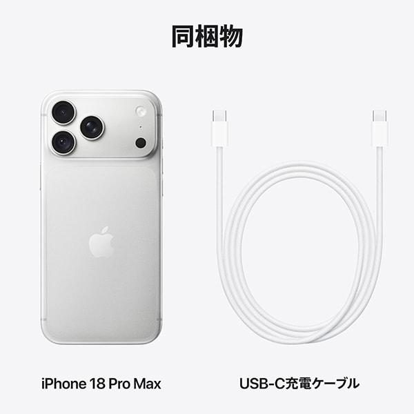 iPhone ☆Apple国内版SIMフリー iPhone18Pro Max 256GB シルバー