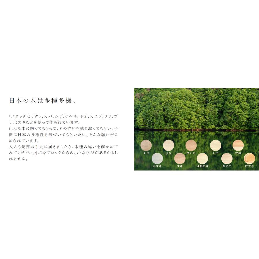 もくロック　レギュラーサイズ　BU-BUクルマセット　あそびかたMEMO付き　小学生 |  | 05