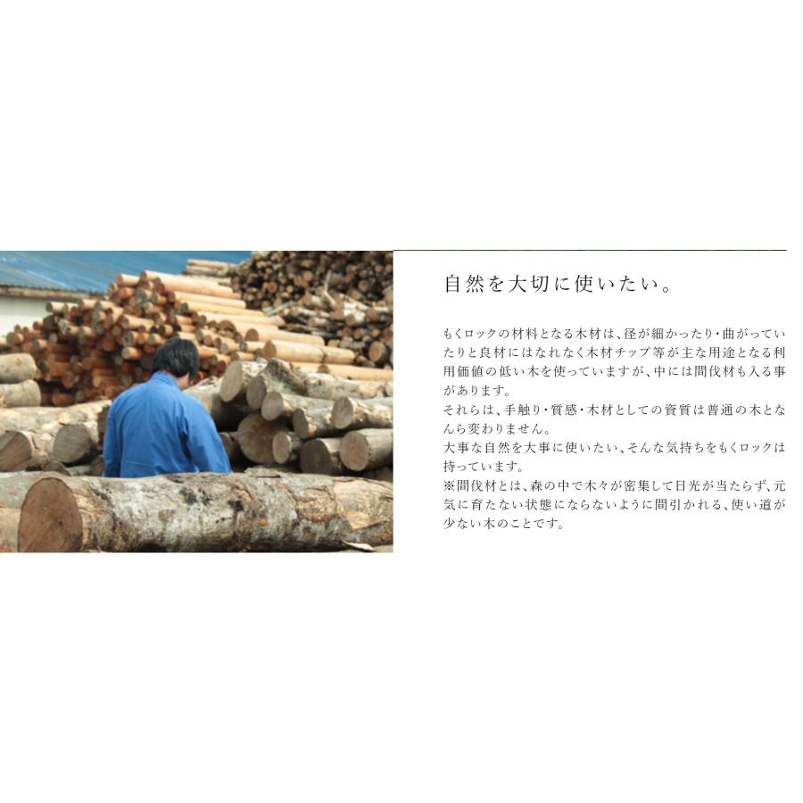 もくロック　レギュラーサイズ　BU-BUクルマセット　あそびかたMEMO付き　小学生 |  | 06