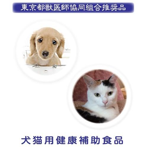 犬 猫 サプリ 胃腸 免疫 クレアミン 歯と腸に 東京都獣医師協同組合