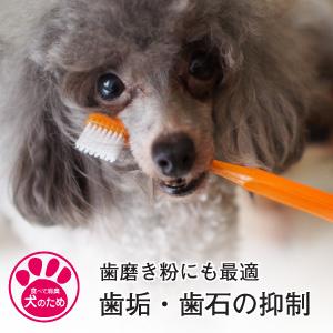 犬 サプリ 胃腸 免疫 食べて消臭 犬のため 独自の成分と効果 特許取得  天然成分100％ |  | 01