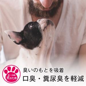 犬 サプリ 胃腸 免疫 食べて消臭 犬のため 独自の成分と効果 特許取得  天然成分100％ |  | 02