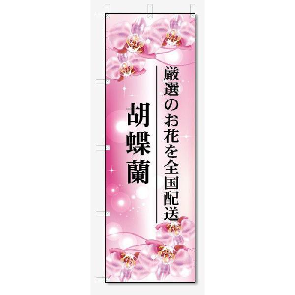 のぼり旗　胡蝶蘭 (W600×H1800)花・フラワー｜jcshop-nobori