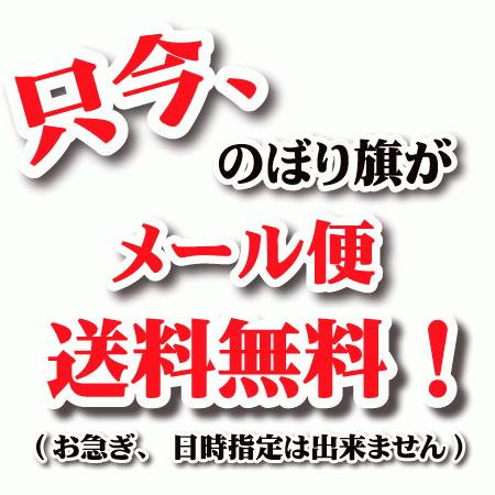 当店在庫してます！のぼり旗 ガラスコーティング (W600×H1800