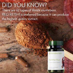 ニュースキン NUSKIN ReishiMax レイシマックス 60粒｜霊芝配合｜栄養補助食品 海外直送 |  | 01