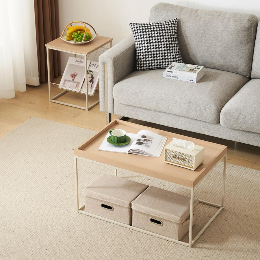 新作登場】センターテーブル 2点セット ローテーブル 北欧風 収納付き  