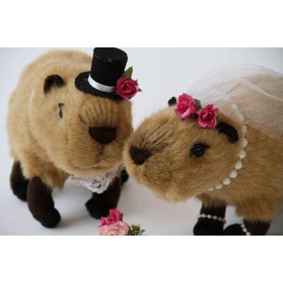カピパラさんペア 結婚式ぬいぐるみ ウェディングドール カピバラ カビパラ Fu 32 ジェイディーブライダル 通販 Yahoo ショッピング