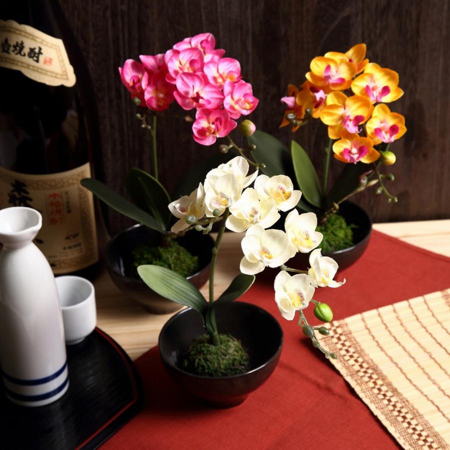 花雅シリーズ 胡蝶蘭 オレンジ 苔玉とミニ胡蝶蘭の盆栽風アレンジ コチョウラン 和風アレンジ ギフト インテリア J 0026o ジェイディーブライダル 通販 Yahoo ショッピング