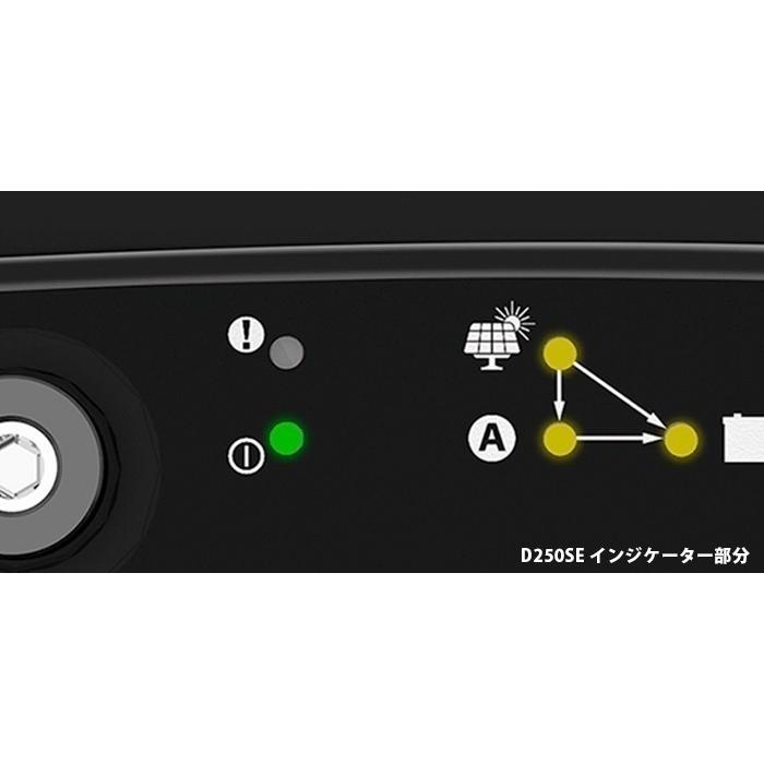 CTEK（シーテック） CTEK D250SE SMARTPASS120Sセット : ANKGLIDPower