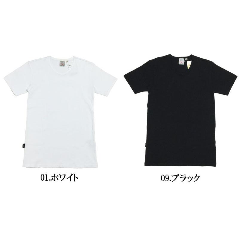 AVIREX（アヴィレックス） デイリー 無地 半袖 Vネック ミニワッフル T