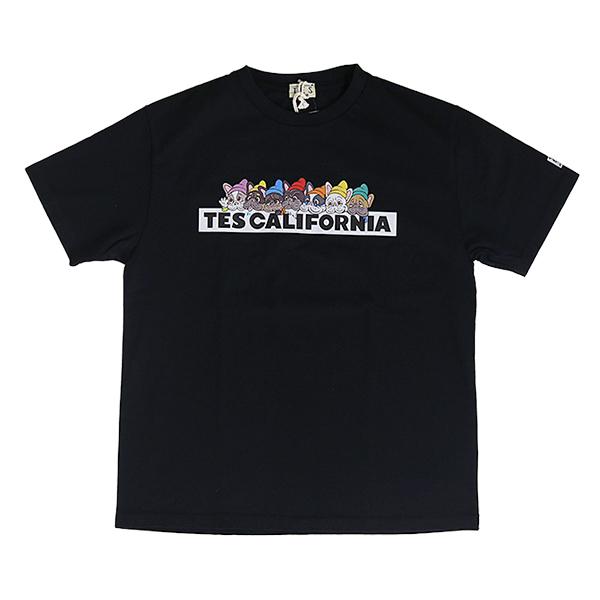 The Endless Summer（エンドレスサマー） TES テス Tシャツ 半袖