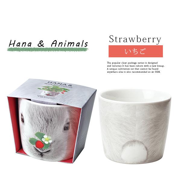 栽培キット かわいい 栽培セット 家庭菜園 菜園セット Hana Animals 聖新陶芸 507 Gd 858 507 Gd 858 ジーンズショップヤマト 通販 Yahoo ショッピング