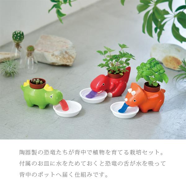 栽培キット かわいい 栽培セット 家庭菜園 菜園セット Green Zaurus グリーンザウルス Gd 3 507 Gd 3 ジーンズショップヤマト 通販 Yahoo ショッピング