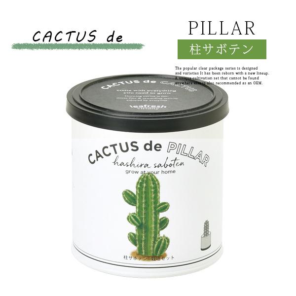 栽培キット かわいい 栽培セット 家庭菜園 菜園セット Cactus De Cactus 聖新陶芸 507 Gd 930 507 Gd 930 ジーンズショップヤマト 通販 Yahoo ショッピング