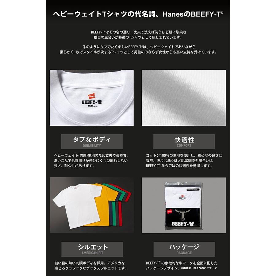 Hanes（ヘインズ） ビッフィー Hanes Tシャツ 2枚組 BEEFY ビーフィー