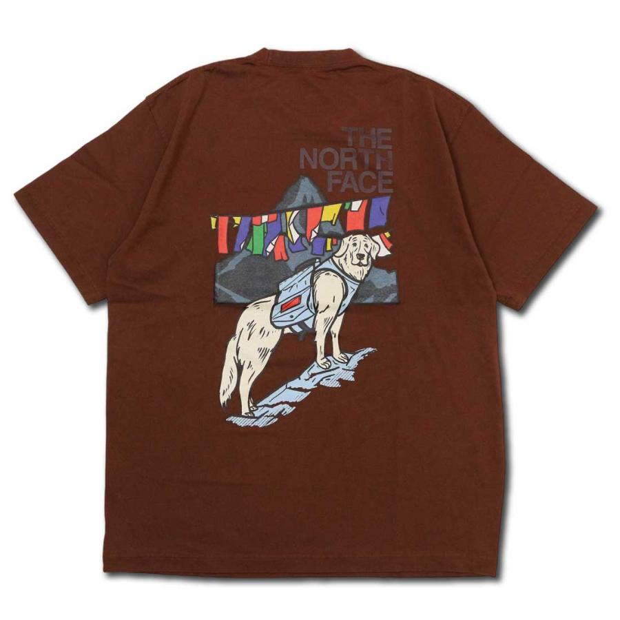 THE NORTH FACE（ザ ノースフェイス） メール便発送 半袖 Tシャツ