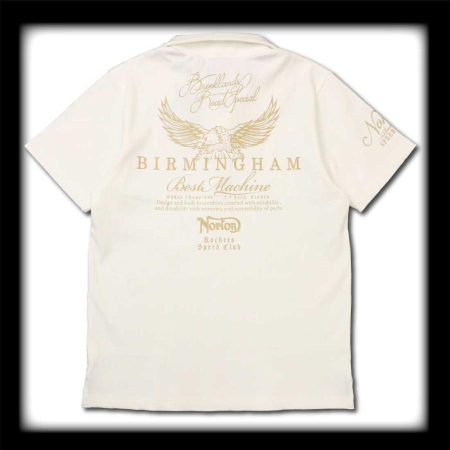 ノートン Norton 服 ポロシャツ 252N1206B ランダム テレコ