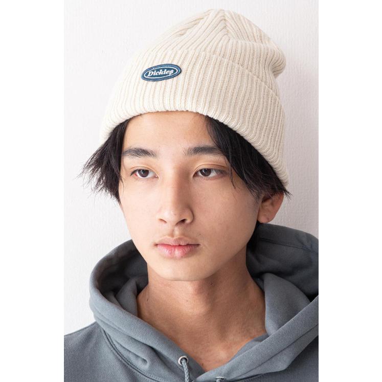 ディッキーズ ニット帽 Dickies ワッペン ニットキャップ メンズ レディース ユニセックス 帽子 ブランド ブラック ワイン グレー ネービー ジーンズメイト 通販 Paypayモール