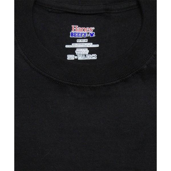 Hanes（ヘインズ） Hanes Beefy カラー Tシャツ 70'SスタイルままのUSA