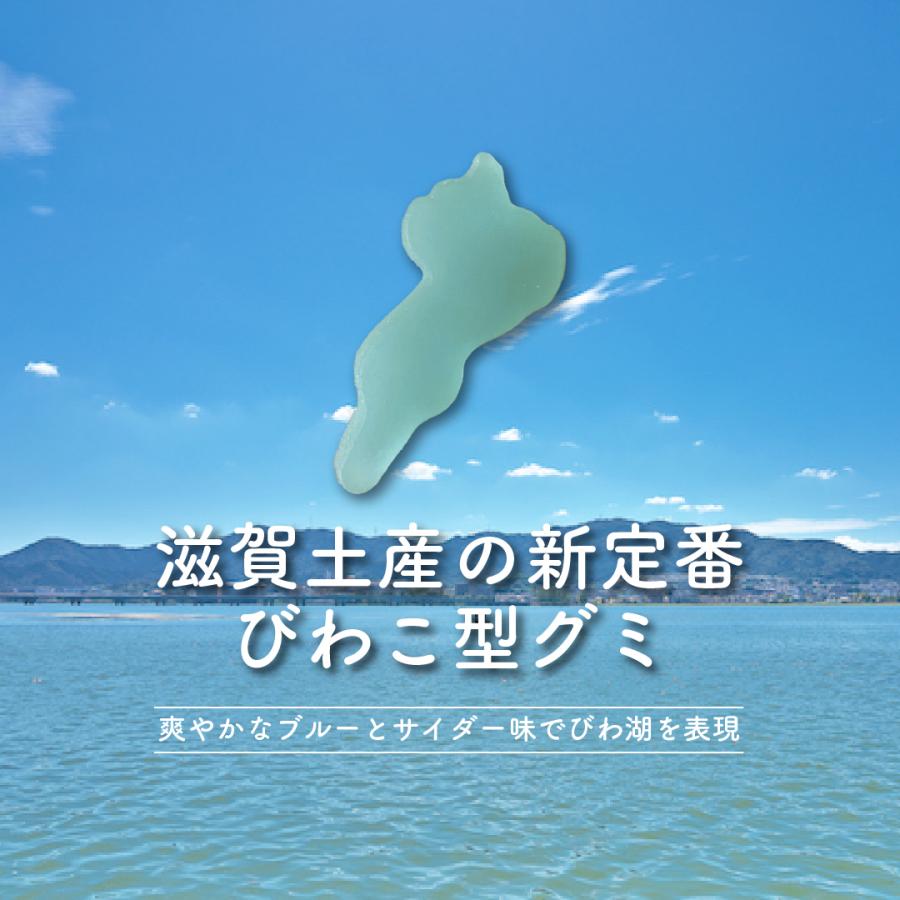 送料無料 グミ コラーゲン配合 琵琶湖 ブルー ゼリエース ゼラチン