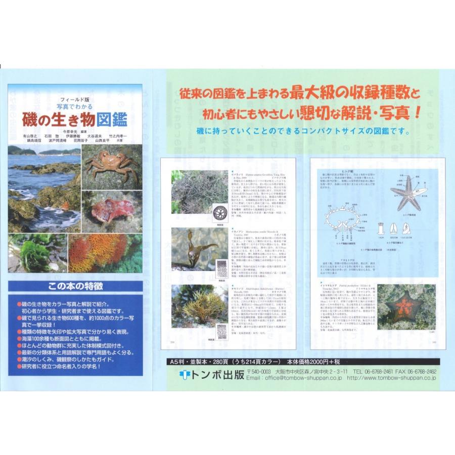 磯の生き物図鑑 Book02 Jellyclubonline 通販 Yahoo ショッピング