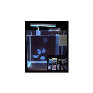 クラゲ飼育水槽　JellyCubeRC-02水槽 スタートキットＤ型付き