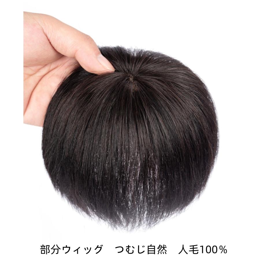 部分ウィッグ ヘアピース ショート 人毛100％ 白髪隠れ 増毛 簡単 自然