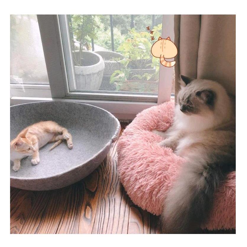 ペットベッド 犬用ベッド 猫用ベッド クッション 丸型 毛足の長いシャギー ふわふわ 可愛い 小型犬用 キャット用 洗える ピンク 直径40cm Zl 0298 Jellykeystyle 通販 Yahoo ショッピング