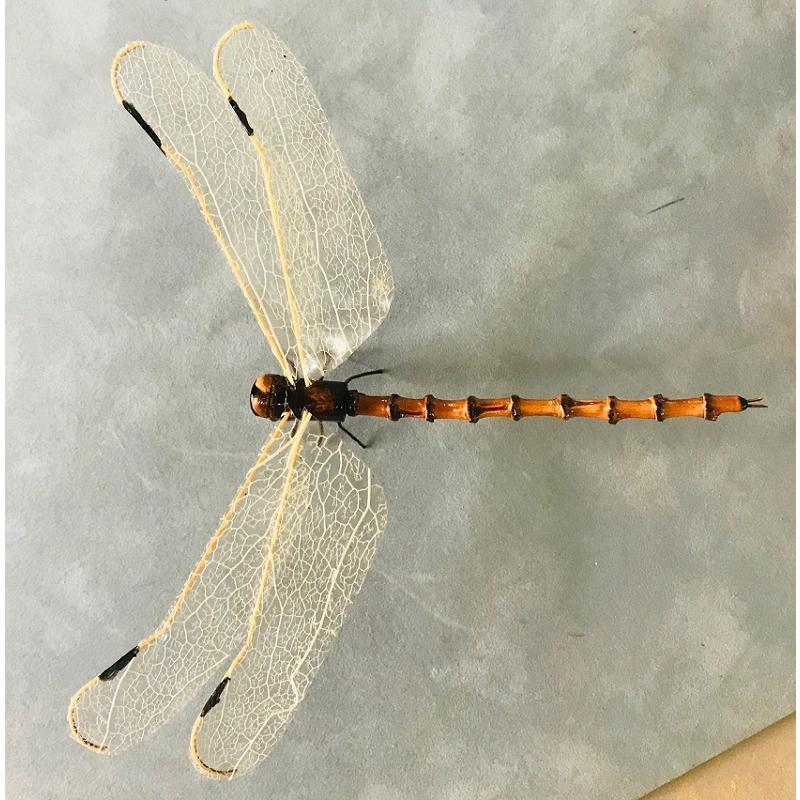 早割クーポン 竹細工 昆虫 大きなオニヤンマ 全長150ミリ Take 25 Aynaelda Com