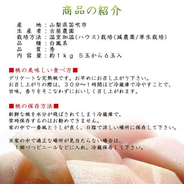 母の日 桃 温室桃 父の日 さくらんぼ グルメギフト プレゼント 送料無料※一部を除く |  | 02