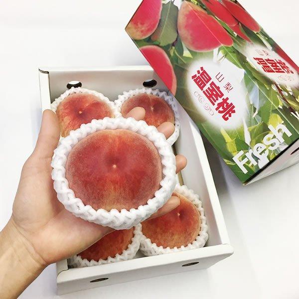母の日 桃 温室桃 父の日 さくらんぼ グルメギフト プレゼント 送料無料※一部を除く |  | 05