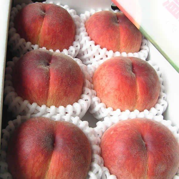 母の日 桃 温室桃 父の日 さくらんぼ グルメギフト プレゼント 送料無料※一部を除く |  | 08