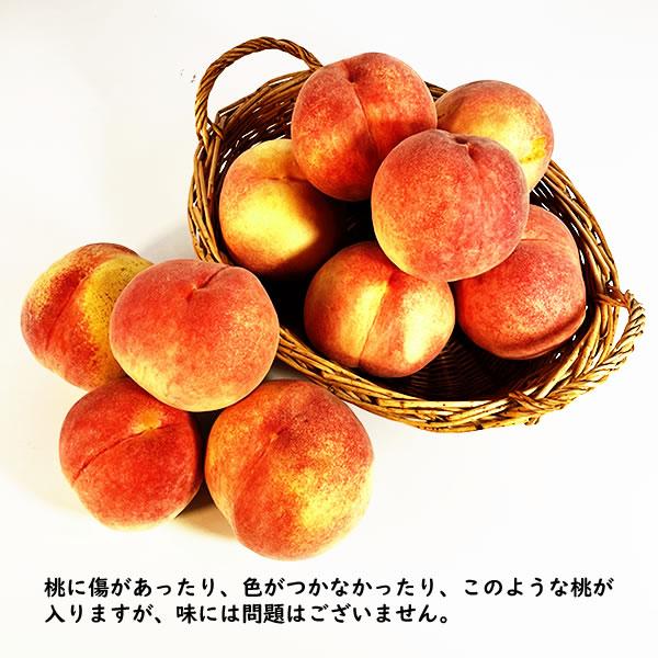 桃 訳あり 山梨産 3kg 7〜9個入り ご自宅用 ご家庭用 自分用 : 山梨お
